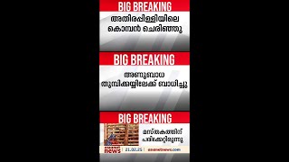 മസ്തകത്തിന് പരിക്കേറ്റ അതിരപ്പിള്ളിയിലെ കൊമ്പൻ ചരിഞ്ഞു;