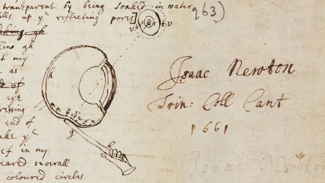 The Mathematical Papers Of Isaac Newton