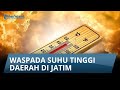 INFO CUACA Rabu 7 Agustus 2024: Waspada Suhu Tinggi Beberapa Daerah di Jatim