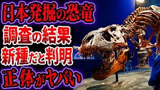 『新種発見』14年前に日本で発見された恐竜…調査の結果、ヤバい正体が判明…日本で発見された恐竜まとめ【ゆっくり解説】【古代生物】