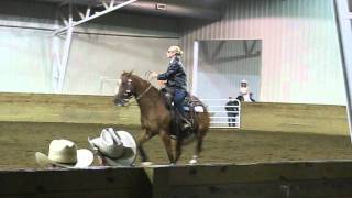 Mr Dazzling Dry--ARHA Youth Musical Freestyle Reining World Champion