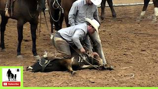 Stray Gathering - 2024 West Texas Ranch Rodeo | Saturday