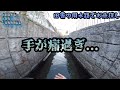 【水路でガサガサ】田舎の何処にでもある水路を辿ったらヤツがいた！【高級天然渓流魚】