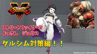 【スト5】キャラ対策動画　よっさんジュリのダルシム対策編！