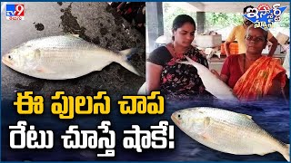 iSmart News : Pulasa Fish Makes a Comeback in Godavari District - TV9