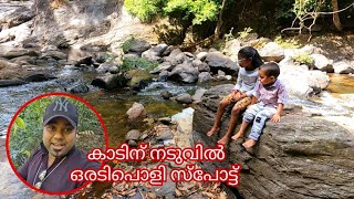 കാടിന് നടുവിൽ ഇങ്ങനൊരു സ്ഥലമോ കണ്ടിട്ട് അത്ഭുദപ്പെട്ടുപോയി😯wayanad trip(EP:07)