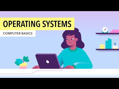 What is an example of an operating system?