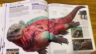 Knowledge Encyclopedia Animal book