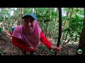 Gunung Maokil Bt Pahat - Trek Baru Full Video