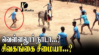 வெள்ளலூர் நாடா? சிவகங்கை சீமையா? களம் அதிர்ந்த ஆட்டம் | கண்டதேவி தாணிச்சாவூரணி வடமாடு  | PK Media