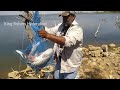 amazing hook fishing video | big rohu fish catch | singh shikaar | triple hook fishing | #fishing