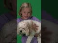 Meet the Family - New #kidssong