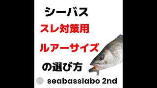 【シーバス】スレ対策用ルアーサイズの解説とおススメのルアーの紹介【Q＆Aアリ】