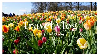 【Travel Vlog】オランダのアムステルダム🇳🇱で堪能するチューリップ🌷1年に2ヶ月しか開かない公園へ！！