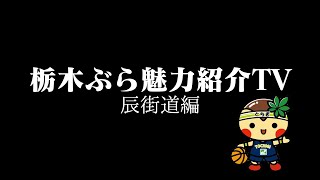 【栃木県宇都宮市辰街道】岡本町から瑞穂の付近まで走る道。途中、気になった石井緑地まで足を伸ばす。（２倍速推奨動画）