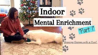 Indoor Mental Enrichment for Dogs - Part 1