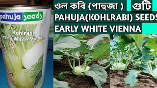 ওল কবি  পাহুজা  Pahuja Kohlrabi Early White Vienna Farmer technical video assam