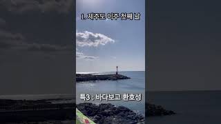 무작정 제주도로 이사한 저희,,,, 앞으로 많관부~~😉😉😭😭😭😭