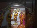 muruga mumbai marol murugan temple poojai murugan