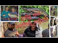 Catching snakehead and thilapiya in Sri Lanka.ලුල්ලු සහ තෙප්පිලි අල්ලමු.