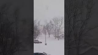 Massive snowflakes blanket Keyser, West Virginia