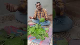 సహజసిద్ధమైన విస్తారాకు.Natural Plate.Be Tune With Nature 🌿🍃#nature #plate #viral #ytshorts #shorts