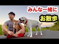 初めてみんな一緒に散歩した保護子犬