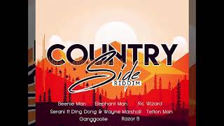 SERANI FT  DING DONG \u0026 WAYNE MARSHALL - WE DANCING [COUNTRY SIDE RIDDIM 2018]