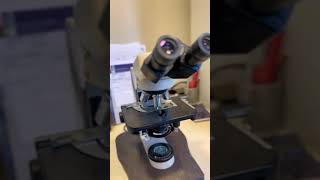 Welcome to #embiolab , what is a microscope and what’s its use?