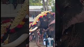 തോട്ടയ്ക്കാട്  വിനായകൻ Thottakkad Vinayakan