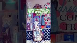 SCORPIO - YOUR ANGELS ARE TELLING ME THIS! JANUARY 2025 #scorpio #trending #angel #reading #shorts