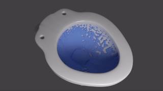 “Belmont” Flush Simulation ( 1 )