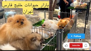 بازار حیوانات خلیج فارس در تهران