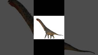 Giraffatitan Call 🦕 | #brachiosaurus #dinosaur #paleontology #dinosaurs