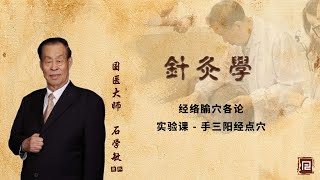 石学敏团队讲针灸学 - 46 经络腧穴各论   实验课   手三阳经点穴