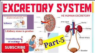 Excretory System/MRB Exam/Medical Exam/Anatomy/Physiology/Biology/Top MCQ/Quiz/