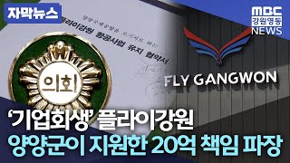 [자막뉴스] 플라이강원 기업 회생 신청, 양양군 '20억' 재정 지원 놓고 여야 책임 공방 / 20230524