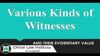 Various Kinds of Witnesses