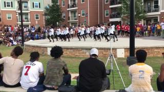 Kennesaw State Yard Show Pi Phi Alpha Kappa Alpha Sorority