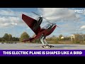 This electric plane is shaped like a bird