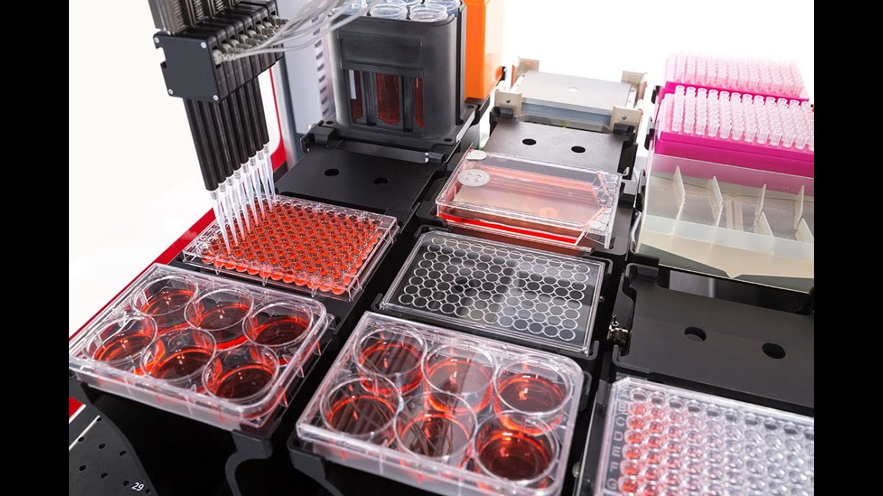 Lab Automation Accelerate Your Workflow Youtube