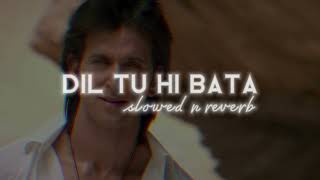 Dil Tu Hi Bata (KRISH 3) Slowed and Reverb 🔥