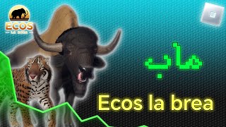 تجربة ماب ELB وشرحه!!｜Ecos la brea