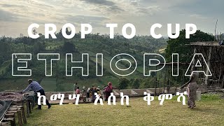 Crop to Cup Ethiopia: The South