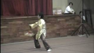 2009 Bukit Panjang CC taiji nite: chen sword by vennie toh