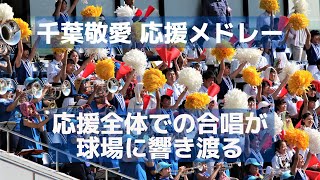 千葉敬愛 高校野球2017 ～応援全体での合唱が球場に響き渡る～(千葉大会準々決勝）