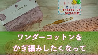 ワンダーコットンをかぎ編みしたくなって【本日の手芸】today's handicraft