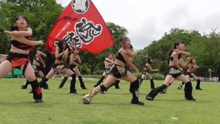 虎舞士　子虎　「ワンフー」2017.06.25　高崎人情市