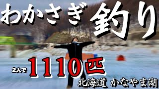 【ワカサギ釣り】北海道南富良野町 かなやま湖で父親とリベンジマッチしたら…2人で合計1110匹釣れた！！！