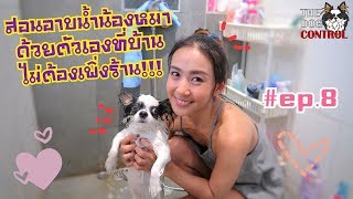 EP.8 สอนอาบน้ำน้องหมาด้วยตัวเองที่บ้าน ไม่ต้องพึ่งร้าน | The Dog Control